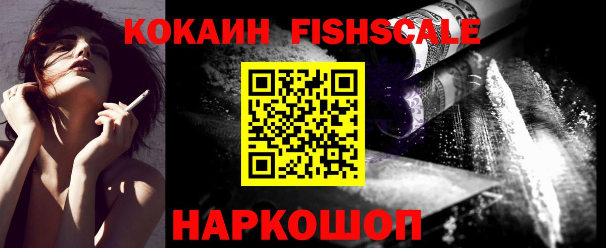 COCAIN Fish Scale  Вход с VPN  COCAIN  Шатура 